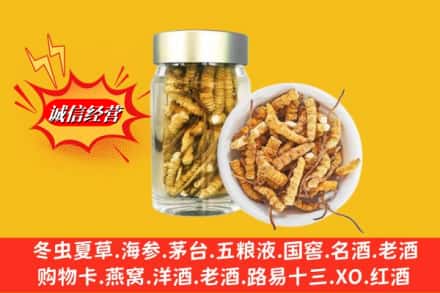 合肥市瑶海回收散虫草