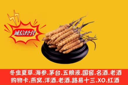 合肥市瑶海名酒回收冬虫夏草.jpg